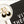 Load image into Gallery viewer, Luna Earrings White